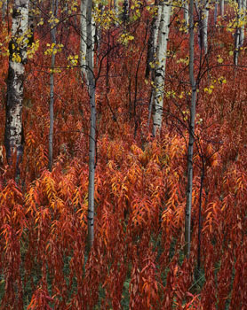 Utah Photography Classes