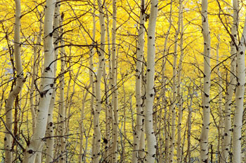 Utah Photography Classes