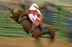 editorial rodeo photography